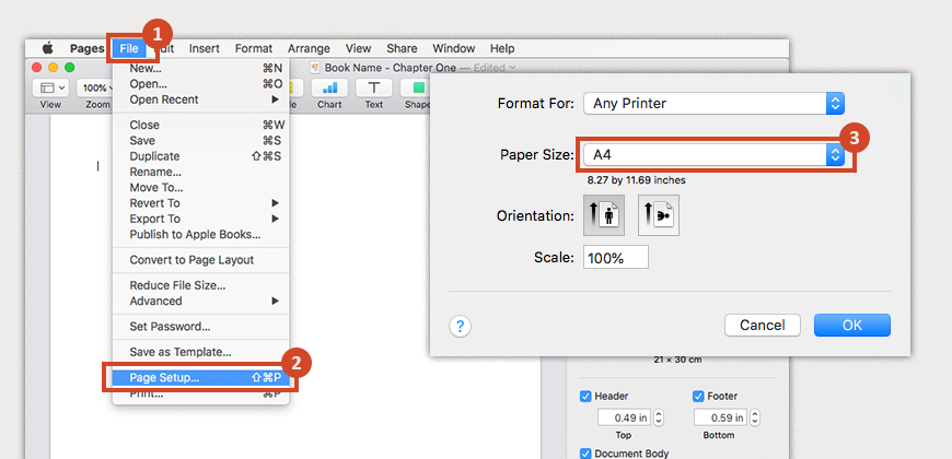 publisher plus for mac page numbering
